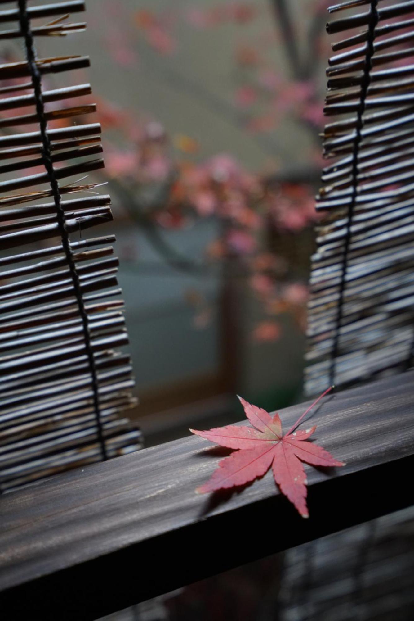旅館　東籬 京都市 エクステリア 写真